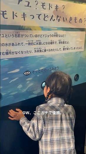 週末のお出かけに、京都水族館はいかが？🐟#京都水族館#京都おでかけ#水族館デート#子ども