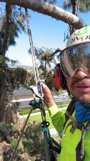 #ramborista #ramboristasplice #ramboristahitch #staysafe #soloelusodeexpertos #climbingsafe #safetyfirst #expertuseonly #ramboristastyle #splicelife