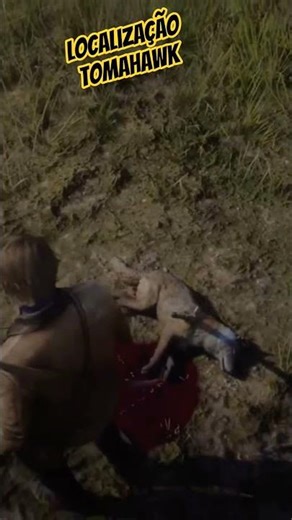 Localização Tomahawk Cumberland Forest #rdr2 #reddeadredemption2 #arthurmorgan #games #gamer #gaming