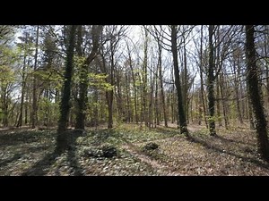 Environment: French forests are gaining ground