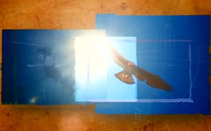 Sled Dogs : An Alaskan Epic