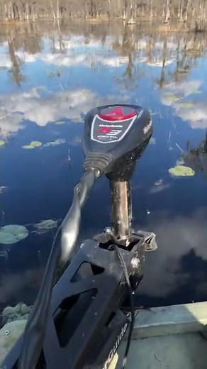 Motor guide x3 55lb digital review