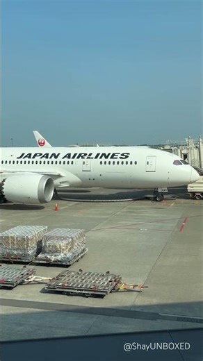 LaBUBU Big into Energy at Narita Airport waiting for Japan Airlines flight doll sing #labubu song