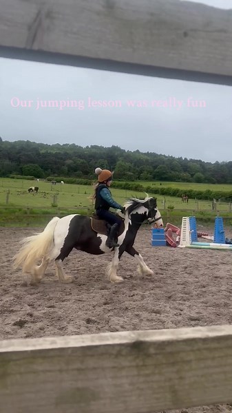 Allie and panda (@allieandpanda)’s videos with Permission to Dance - BTS