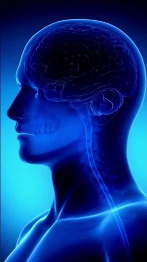 Acetylcholine – The Brain’s First Neurotransmitter Explained by Dr. Anuj Mishra