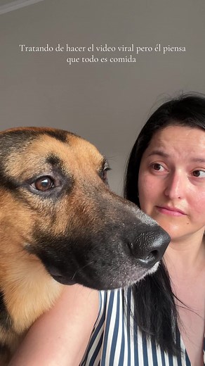 El perrito paciente con agua termal de Avène