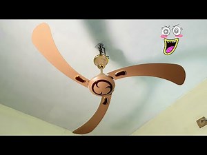 Variety & Tradition looking Ceiling Fan