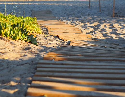 Olympic beach utisci - Kompletan vodič sa više od 20 saveta (2026)
