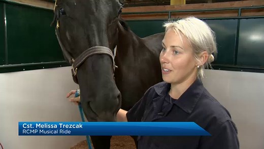RCMP Musical Ride stops at PNE on Canada 150 tour