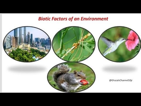 Biotic factors of an Environment or Ecosystem#Interactions between organisms#withghazal