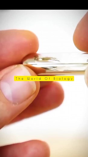 131K views · 2.7K reactions | The World Of Biology on Reels | Facebook