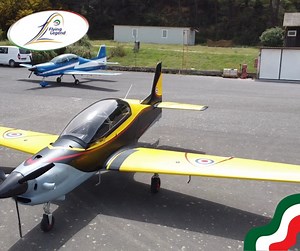 2.1K views · 88 reactions | 헣헲헿헳헼헿헺헮헻헰헲 혀혁헮헿혁혀 헶헻 혁헵헲 헱헲혁헮헶헹혀. Every...