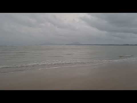 Borneo Healing Sounds | Deep Sape Instrumentals BGM for Stress Relief, Inner Peace & Zen Healing