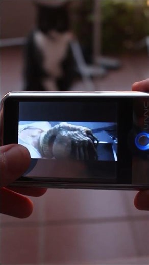 Alien(1979) en formato GIF