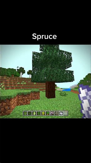 Types of trees in mc 🌳 #shorts #minecraft