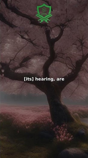 Quran Ash-Shu'ara [26:211-213] | Who Can Hear the Divine?