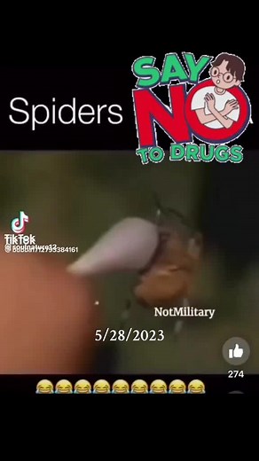 Spider Behavior Experiment: Effects of LSD, Caffeine, THC, Alcohol, and Cocaine