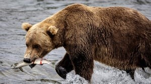 The 7 worst stocks right now