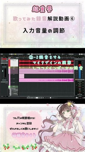 録音解説切り抜き⑥