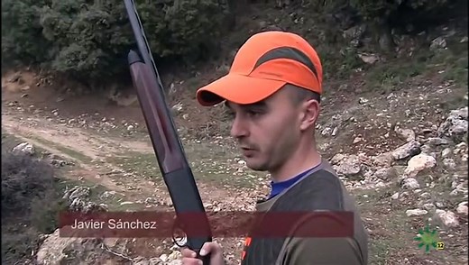wild boar hunting in spain