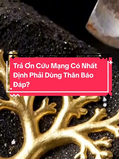 Trả Ơn Cứu Mạng: Mối Quan Hệ Phức Tạp Giữa Tình Yêu và Nghĩa Vụ
