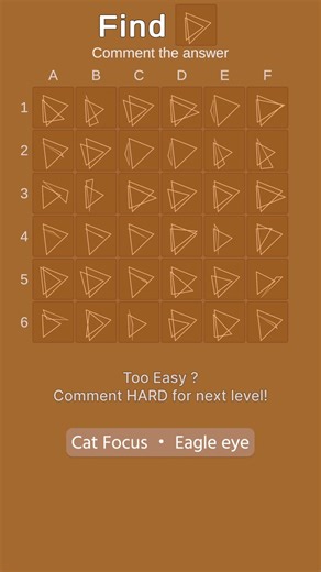 Spot The Same One - Pattern Match Challenge #CatFocus