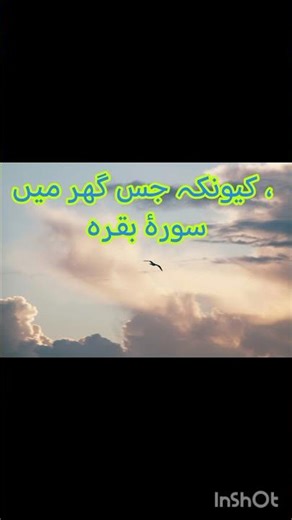 hadees no #2119 book mishkat ul masabih #islamicnasheed #islamicworld #islamiclife #hadees