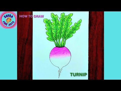 How to draw a Turnip with color pencil / Easy step by step method for beginners