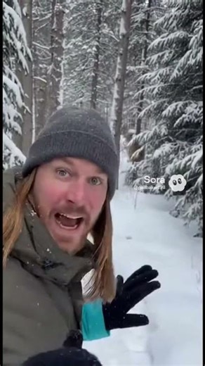 Maine mountain lion what do you do?