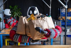 Toyota’s new soft humanoid picks things up with its whole body – Lifeboat News: The Blog