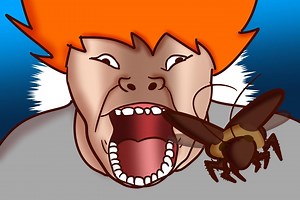 776K views · 10K reactions | 周末大長篇 洋蔥十大怕蟑螂事件 | Onion man | Facebook