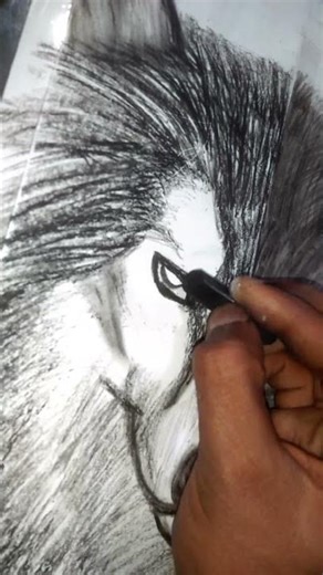 Oil Pastels vs Pencil Sketch - Wolf Drawing Comparison 🐺