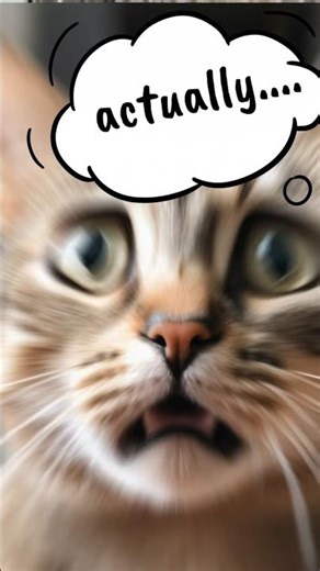 5 ways to use the word ACTUALLY correctly #easyenglisheveryday #englishlanguage #english