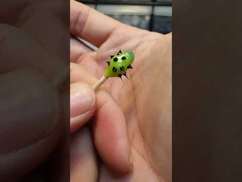 Lasher Needs More Tendrils! #symbiote #lasher #venom