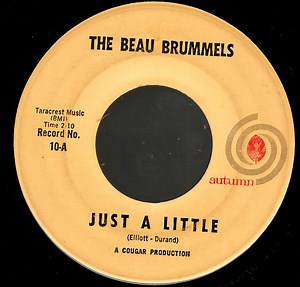 The Beau Brummels - Just A Little