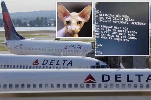 Woman caught breastfeeding her hairless cat on a Delta flight