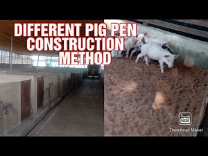 Different modern pig pen construction methods/designs/types.Things 2 know before choosing a pig pen.