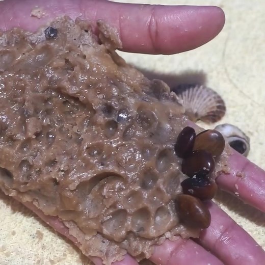 277K views · 1K reactions | Removing worms From Hand Wound #685 Part 12 | Giant Ticks | Facebook