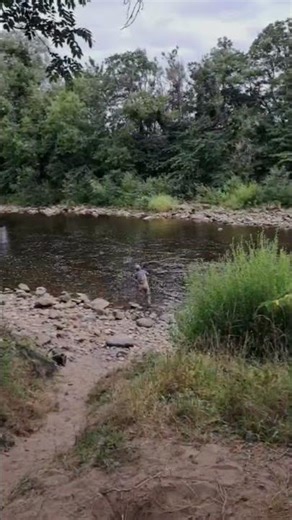 CIRCLE C CAST - Casting for Silver. #shorts #casting