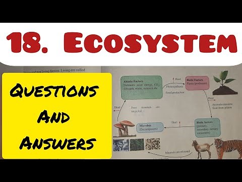 8th Std - Science - Chapter 18 Ecosystem questions and answers exercise - Maharashtra board