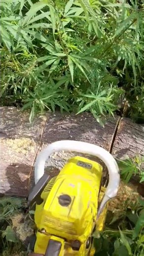 Change from machine boot #changeyourmindsetchangeyourlife