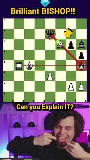 Brilliant BISHOP Play, Can you explain it? #chess #shorts #шахматы #chesspuzzle #ajedrez