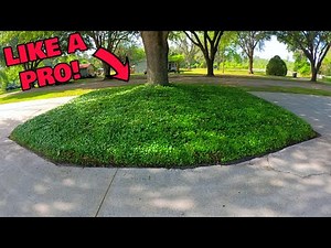 How To Maintain And Trim Ivy Ground Cover
