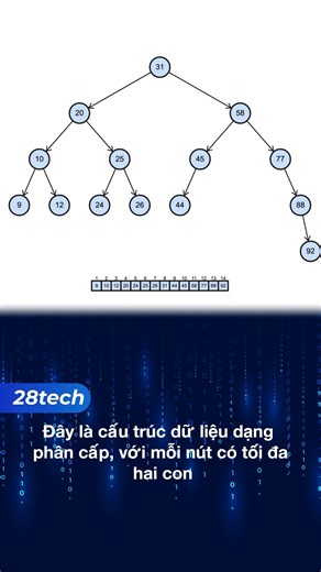 5 Cấu trúc dữ liệu (Data structure) quan trọng với lập trình viên. #28tech | 28Tech