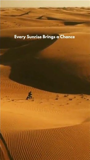 Lost in the endless dunes of Tassili, Algeria 🌵✨