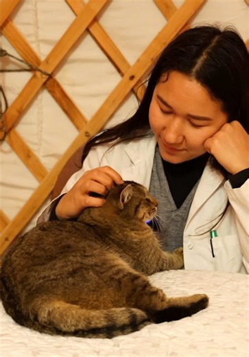 Taxi the cat exam ASMR #asmr #relaxing #realpurrsonasmr #asmrsleep #asmrvideo