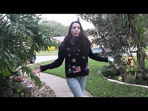 Hawk TV 2014 Holiday Special