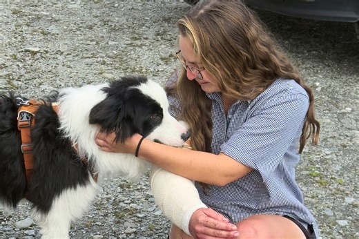 Lost dog found alive one week after owner’s hiking accident