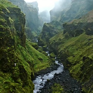 WHOOSH! screen cleaner: safe, sustainable, and effective. | WHOOSH! posted on the topic | LinkedIn