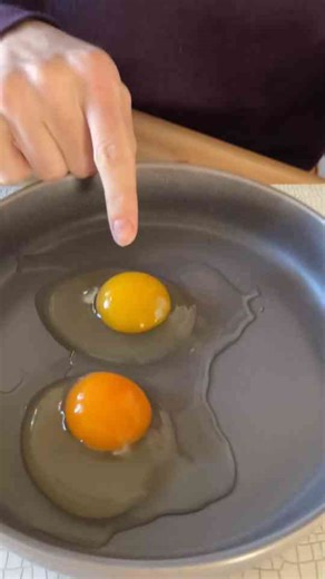 What Color Are Your Eggs, and Why It Matters